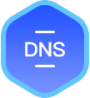 瑞安DNS攻击防护